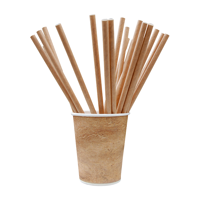 Sorbetes de Papel Biodegradables