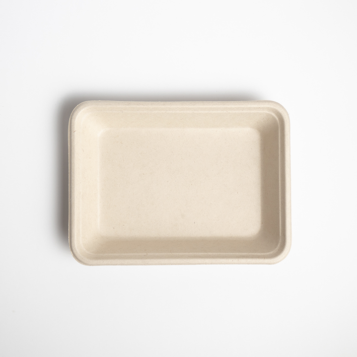 Platos Ecológicos de Bagazo